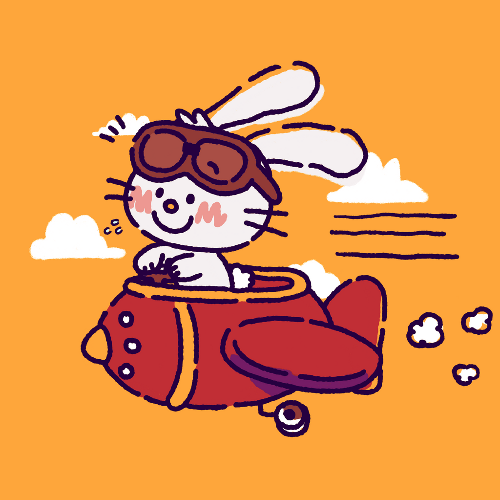 bunny riding airplane illustration